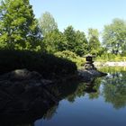 Rheinauen Japanischer Garten II