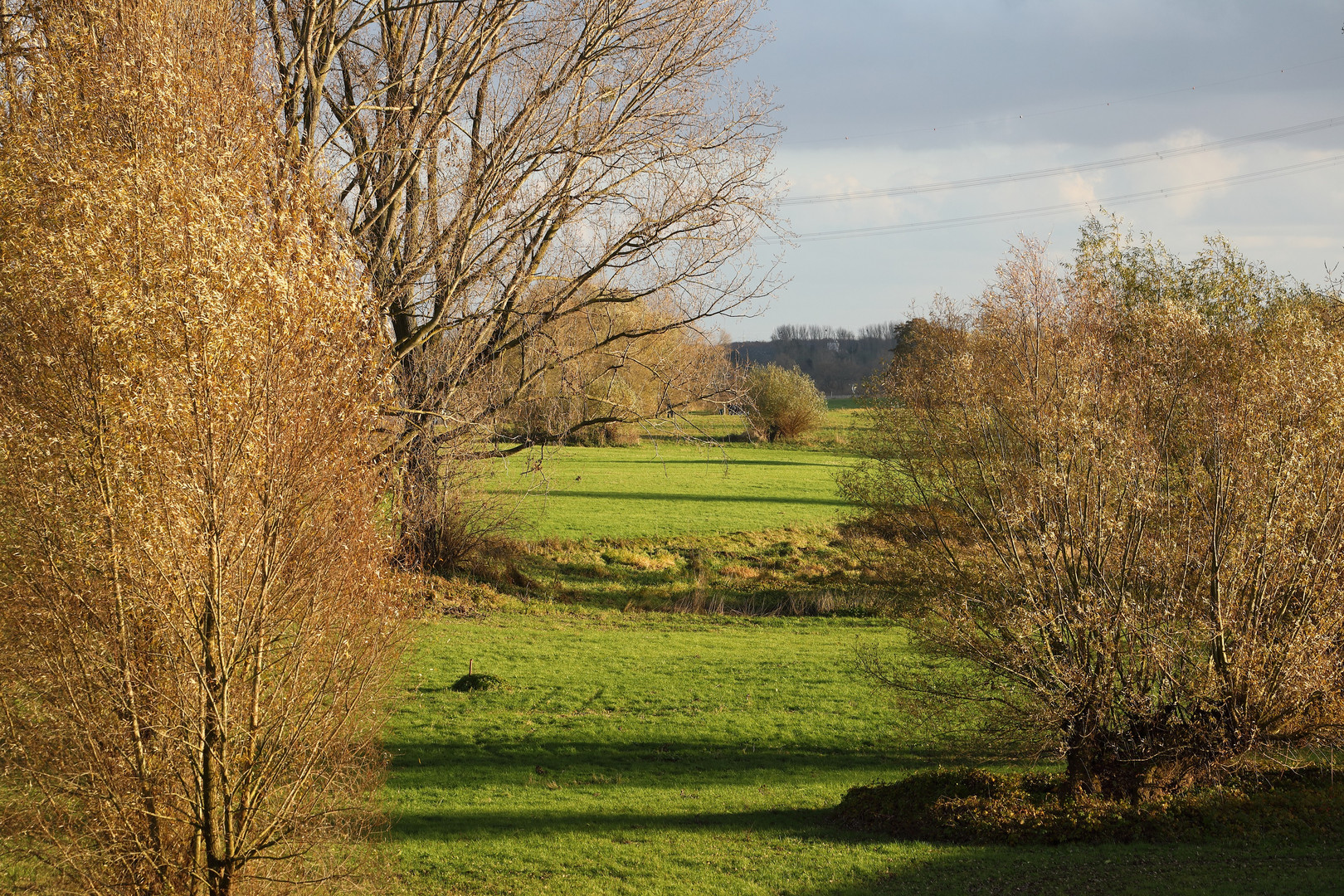 Rheinauen mit Herbstfarben