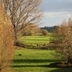 Rheinauen mit Herbstfarben