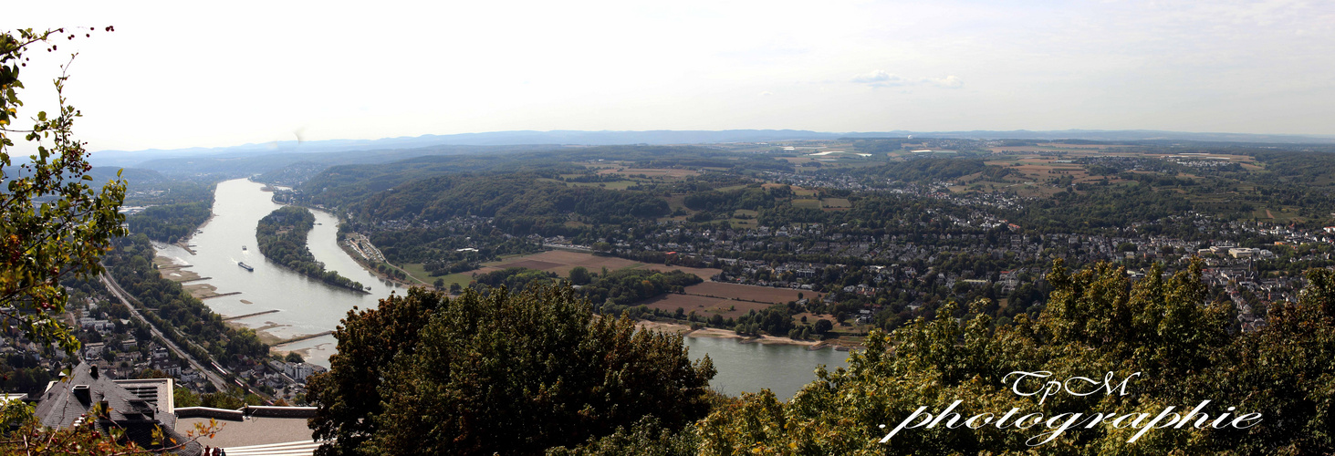 Rheinauen Panorama von Dachenfels