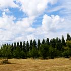 Rheinauen-Wandergebiet