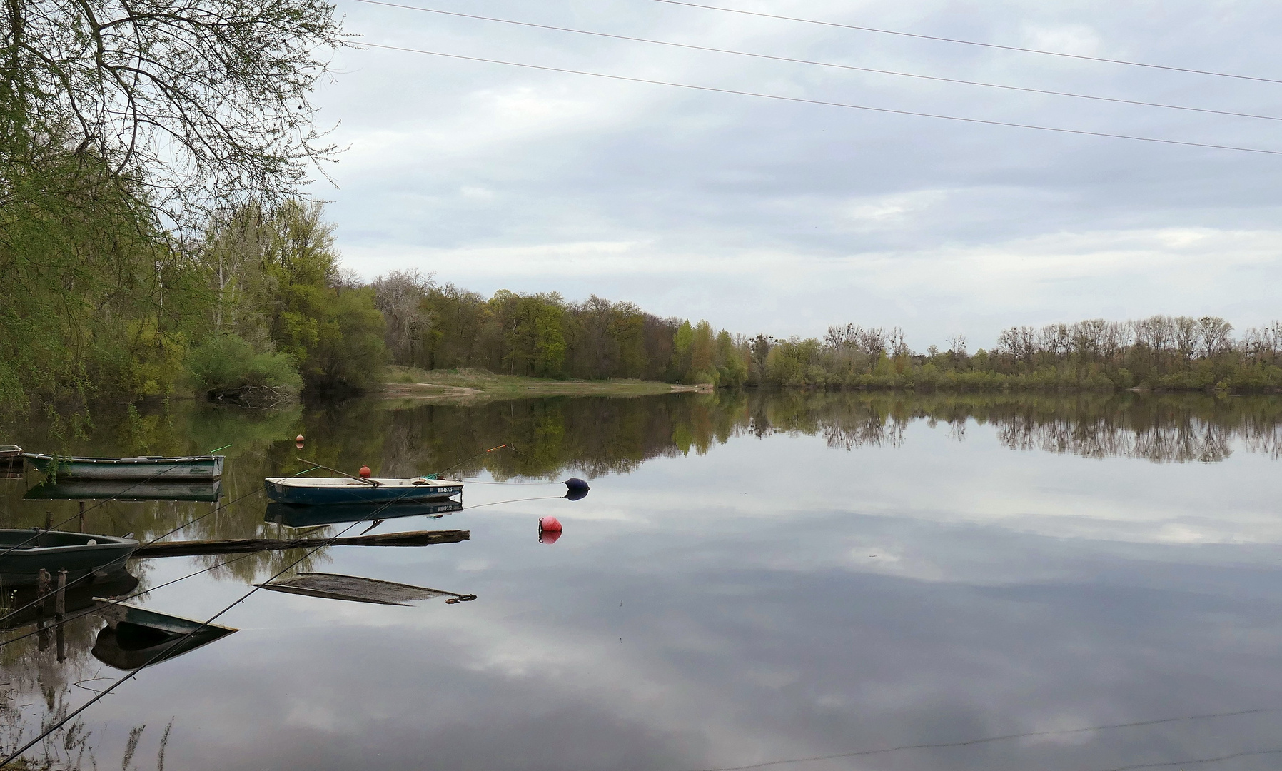 Rheinauengebiet um den "kleinen Bodensee"