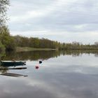 Rheinauengebiet um den "kleinen Bodensee"