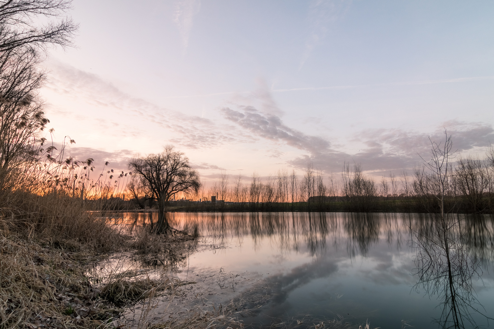 Rheinauen_Worringen_03-2017