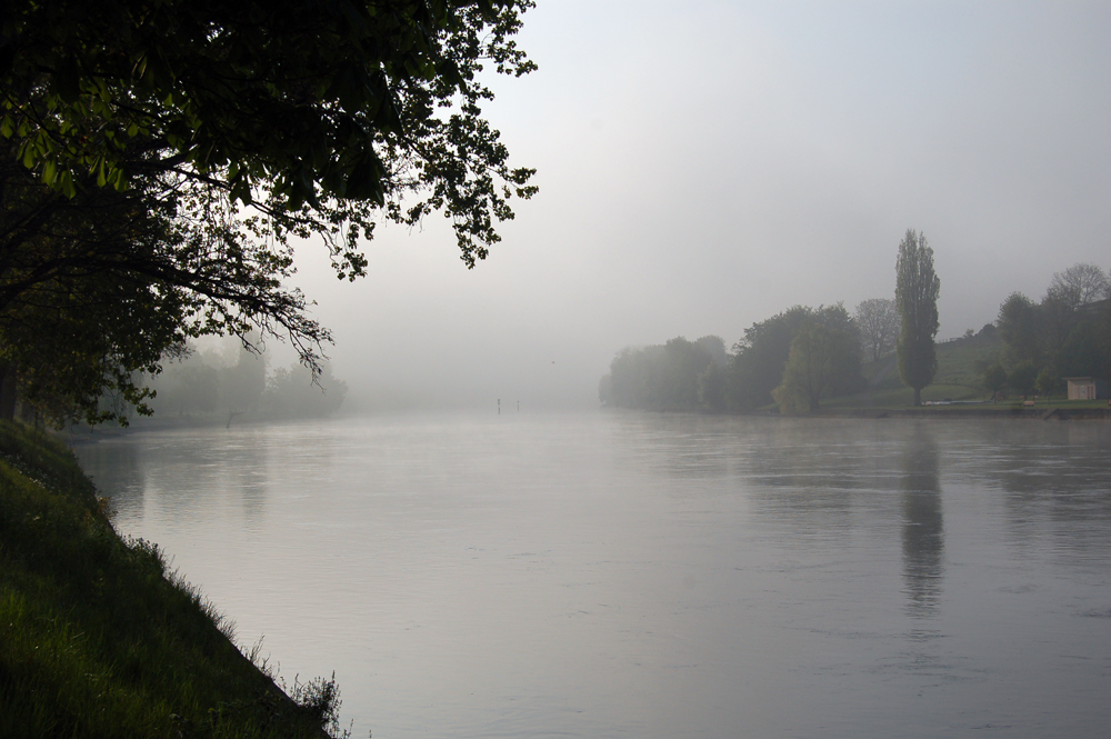 Rheinaufwärts bei Gailingen