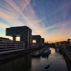 Rheinauhafen mit Kranhäuser zur blauen Stunde