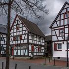 Rheinbacher Impressionen 1