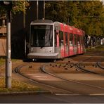 Rheinbahn am Landtag