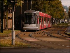 Rheinbahn am Landtag