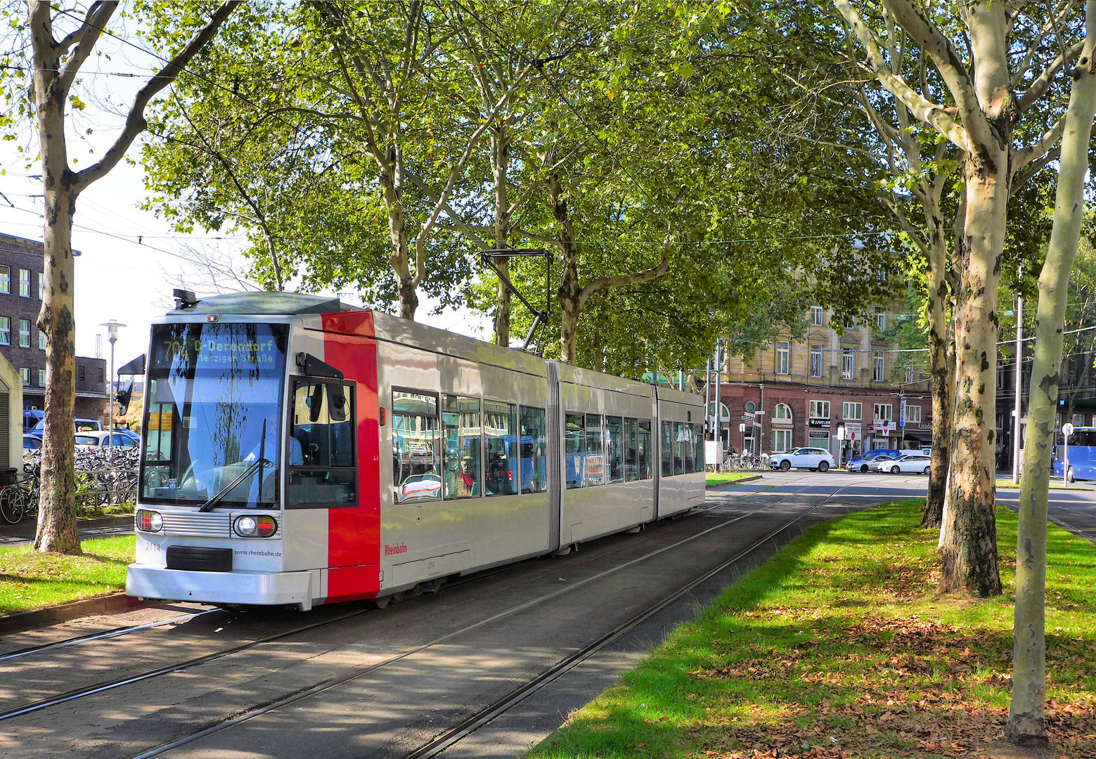 Rheinbahn im Schatten