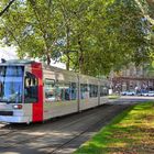 Rheinbahn im Schatten