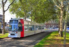 Rheinbahn im Schatten