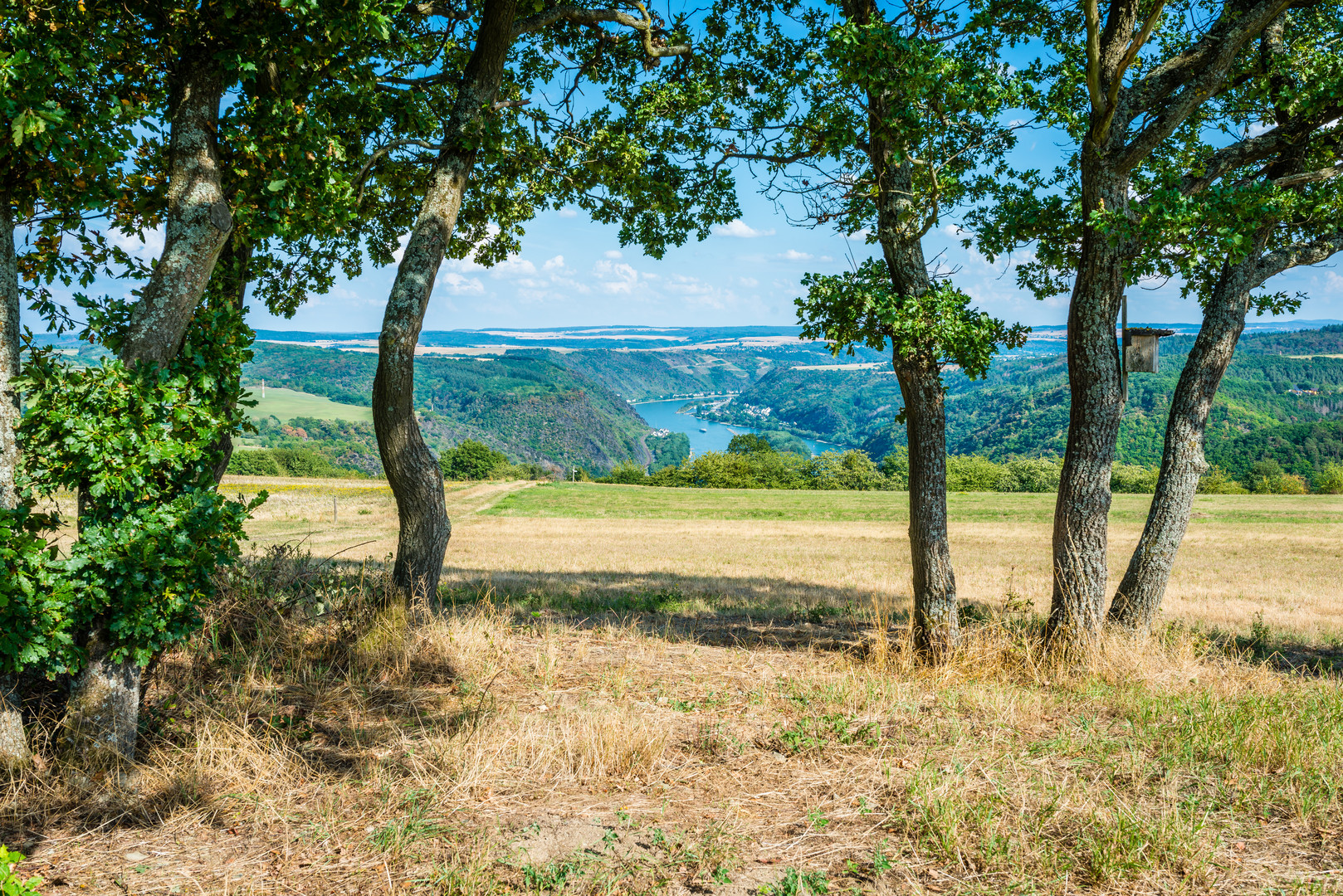 Rheinbay - Edgar-Reitz-Blick