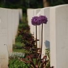 Rheinberg War Cemetery II