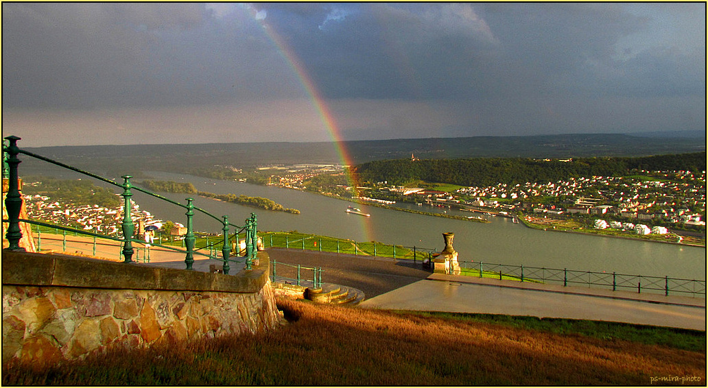 Rheinblick