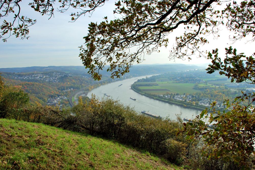 Rheinblick