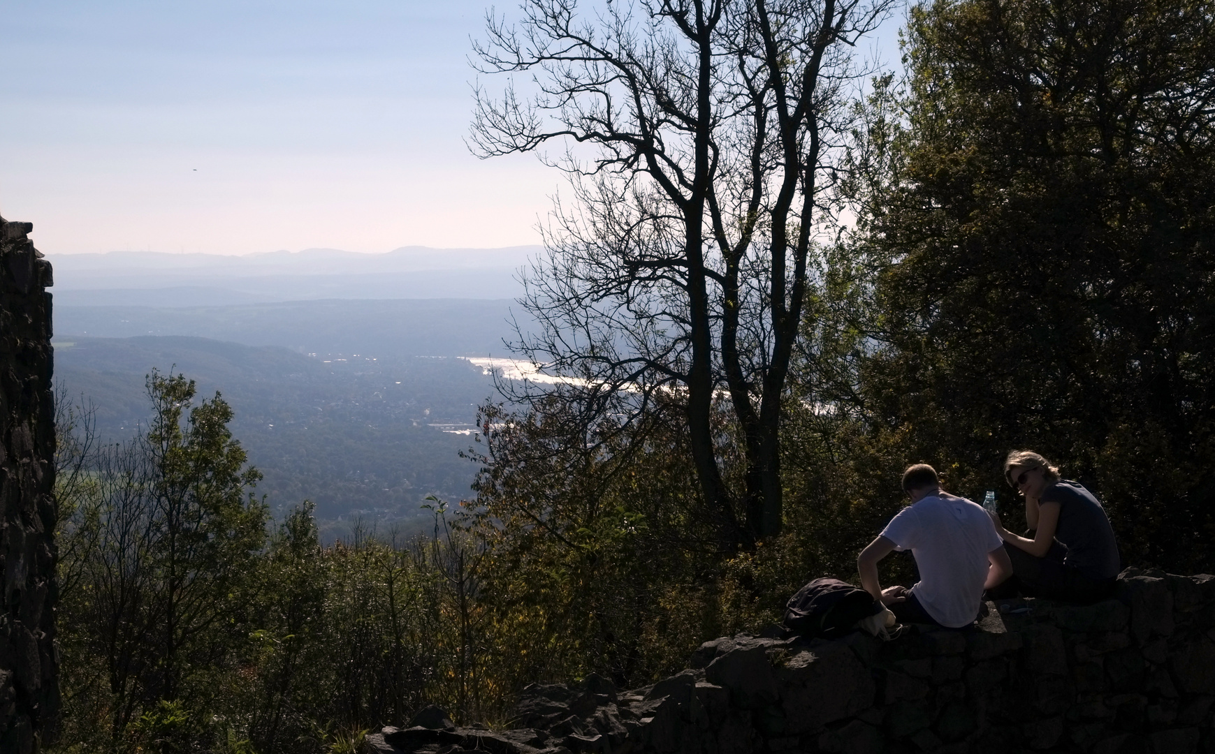 Rheinblick