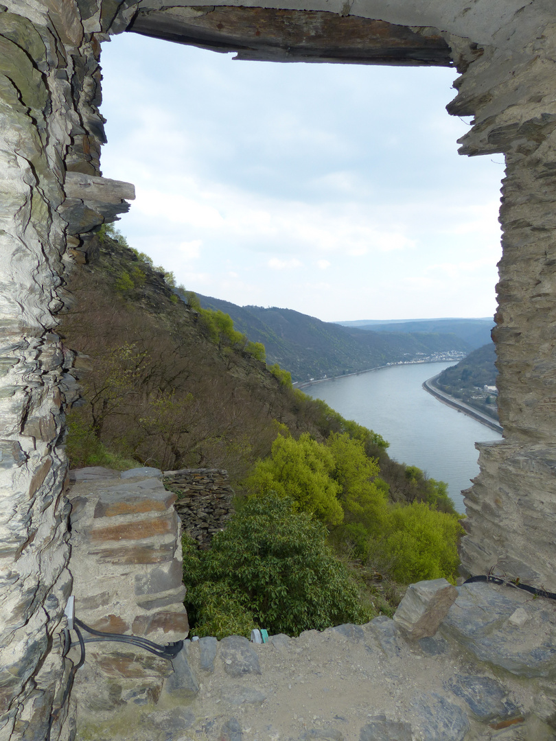 Rheinblick