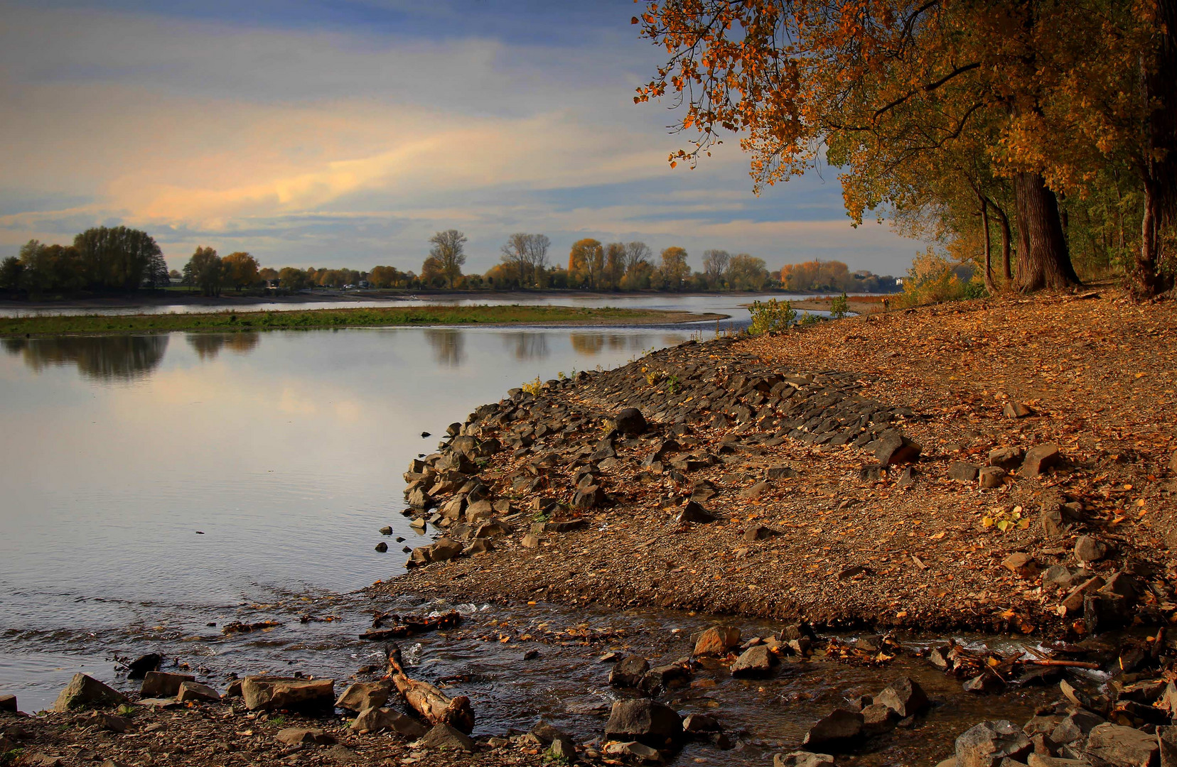 Rheinblick