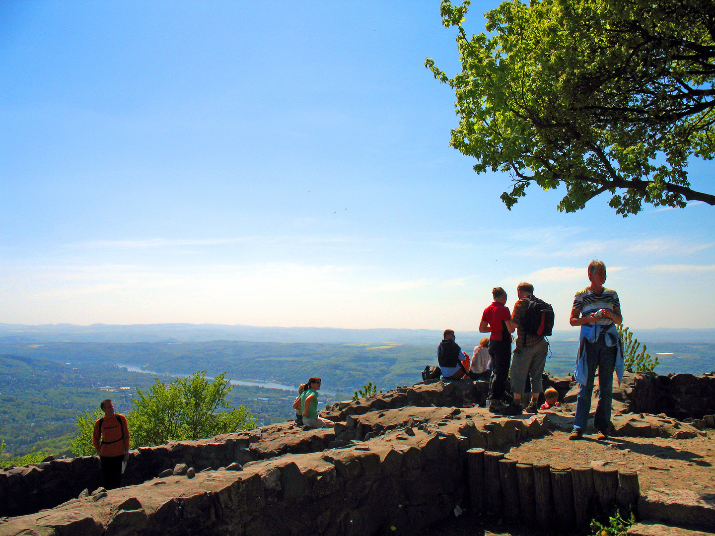 Rheinblick