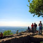 Rheinblick