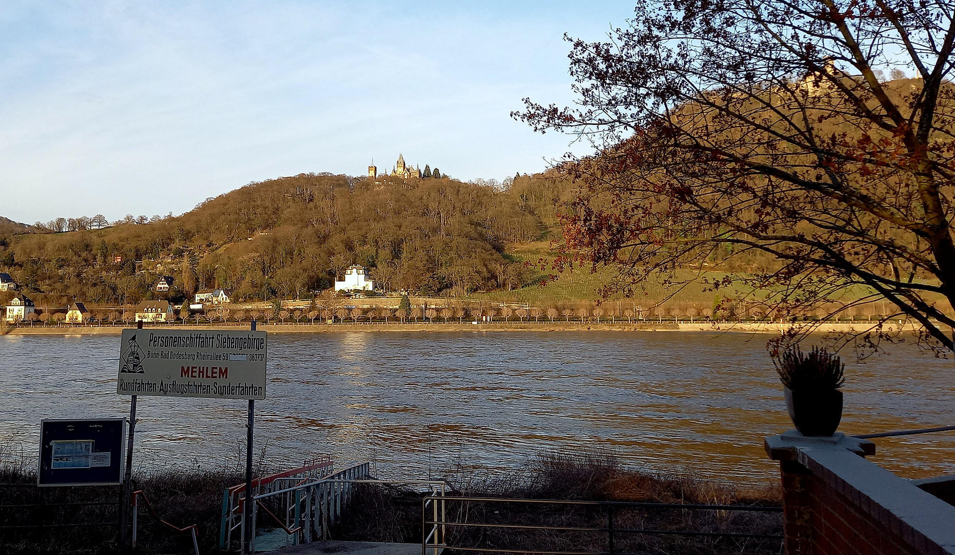 Rheinblick