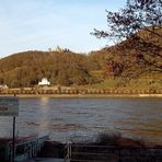 Rheinblick