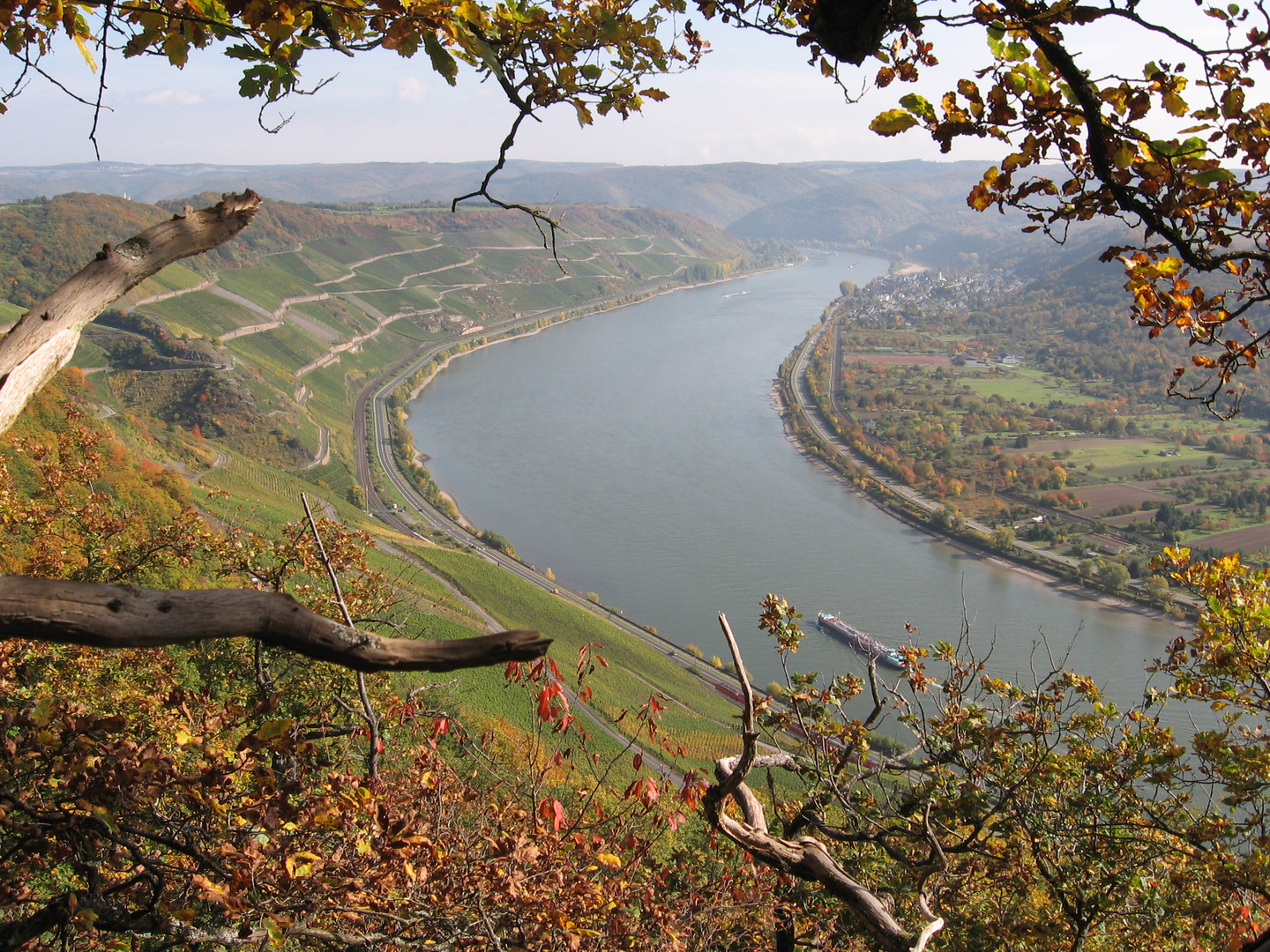 Rheinblick bei Boppard