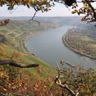 Rheinblick bei Boppard