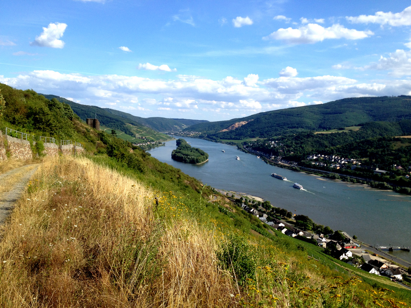 Rheinblick bei Lorch