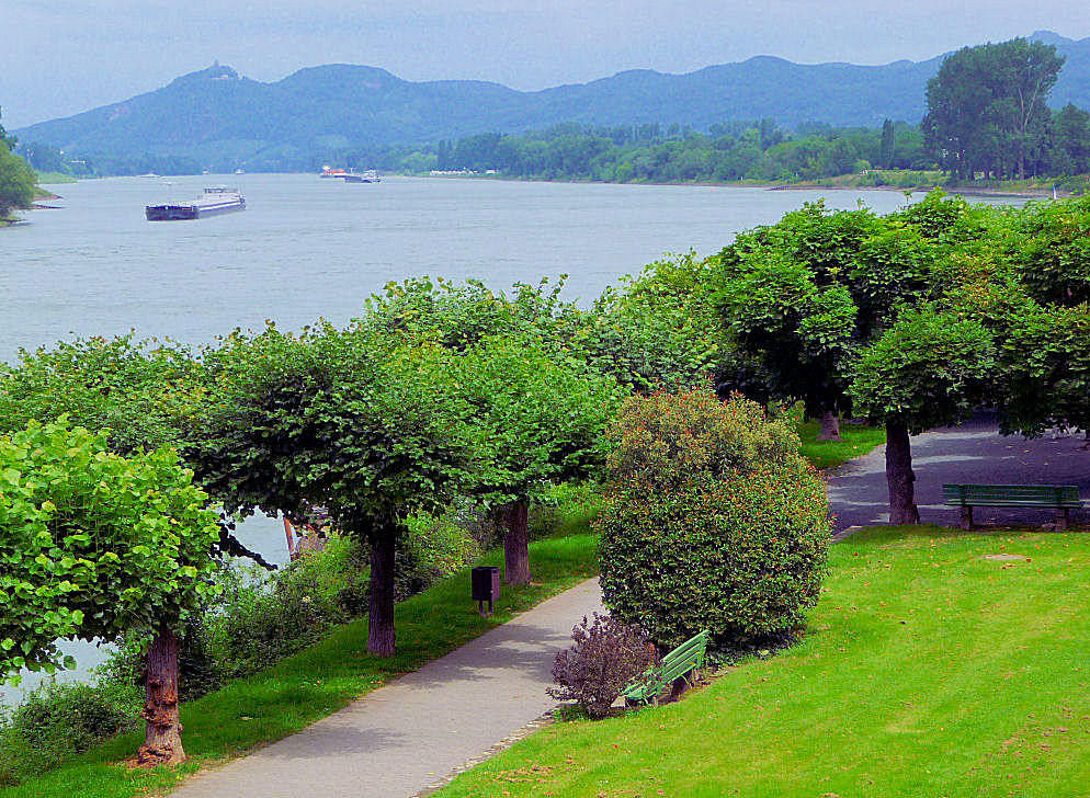 Rheinblick bei Unkel