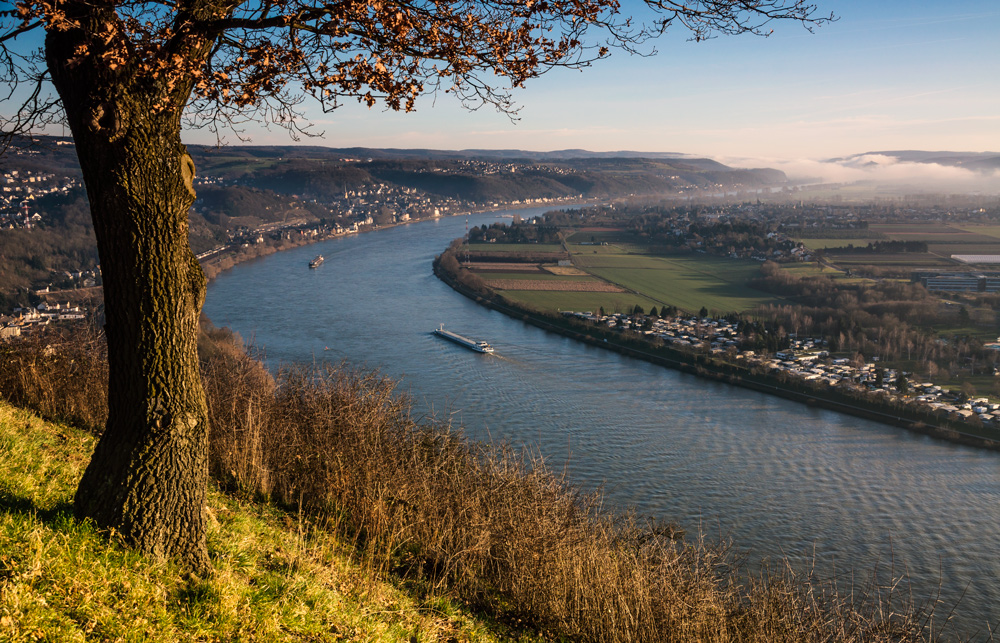 Rheinblick