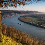 Rheinblick