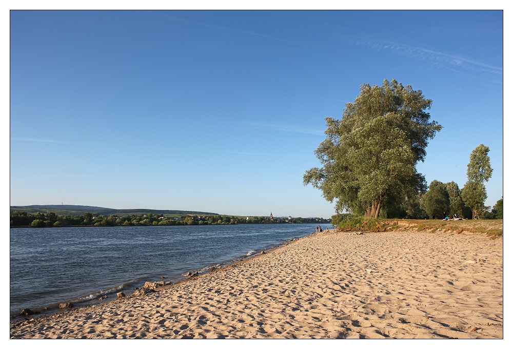 Rheinblick