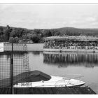 Rheinblick - Hindenburgbrücke