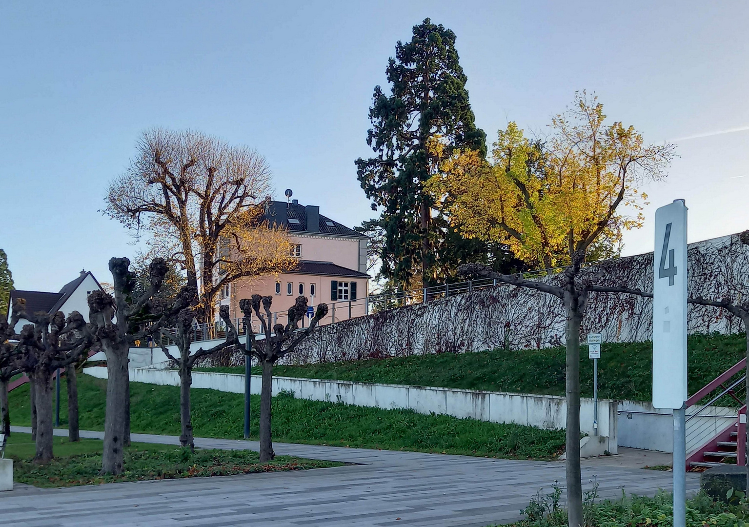 Rheinblick inbegriffen