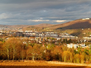 Rheinblick Richtung Süden