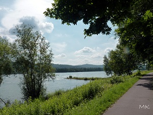 Rheinblick Richtung Süden