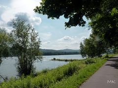 Rheinblick Richtung Süden