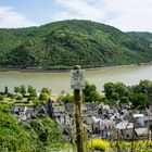 Rheinblick über die Weinberge