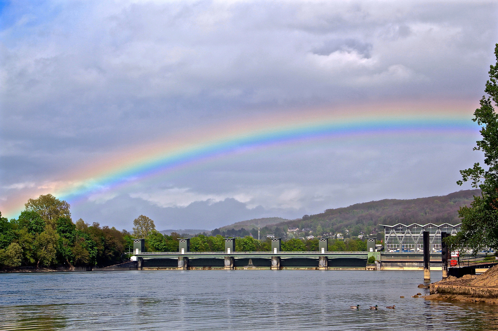 Rheinbogen :) 