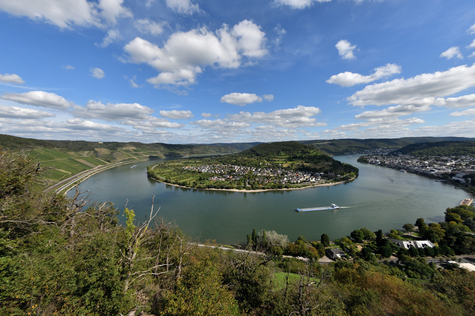 Rheinbogen 