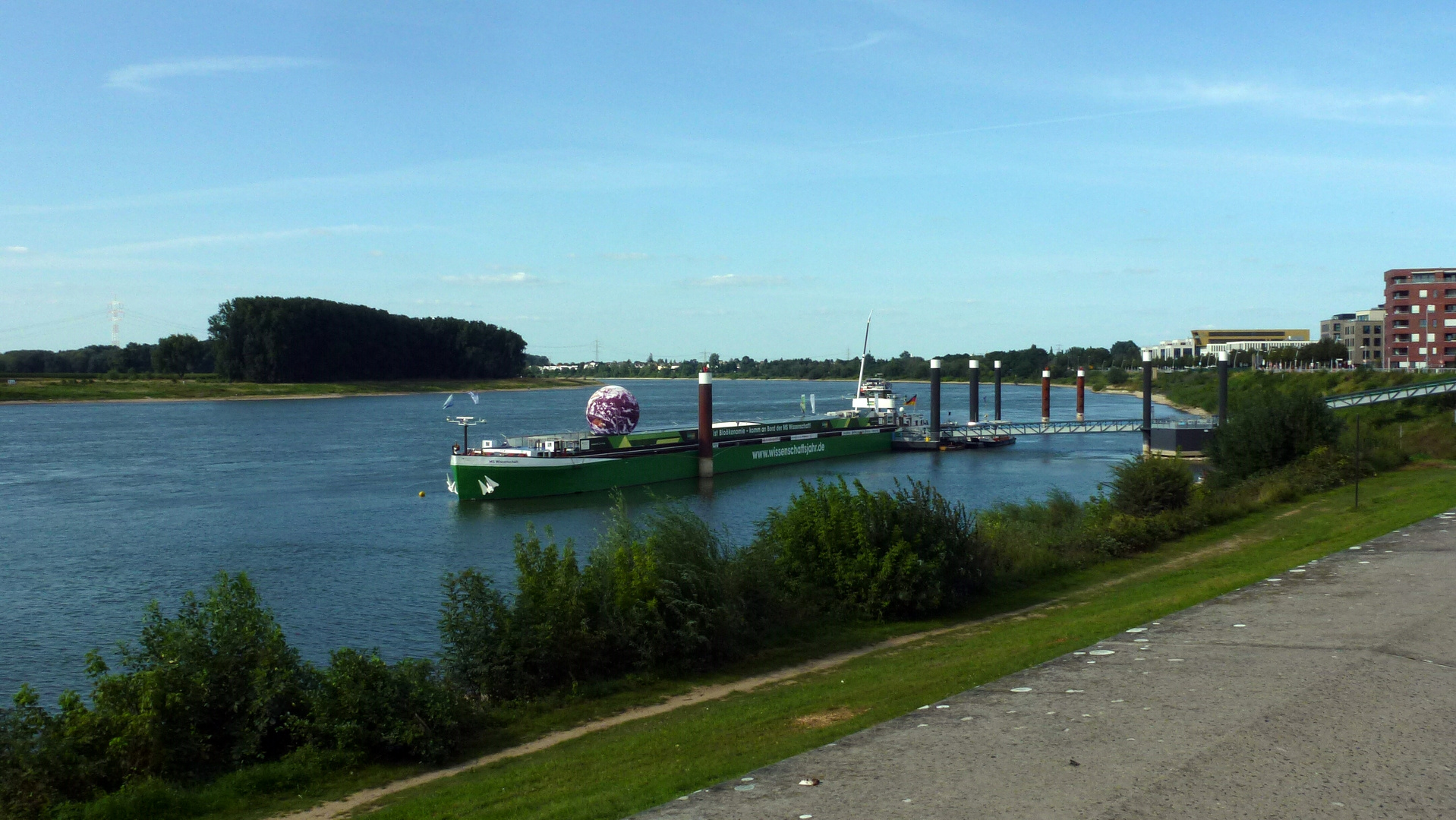 Rheinbogen bei Monheim