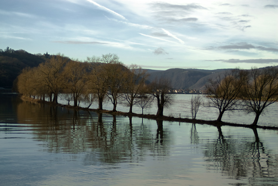 Rheinbogen