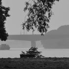 Rheinbrücke am Schierstein