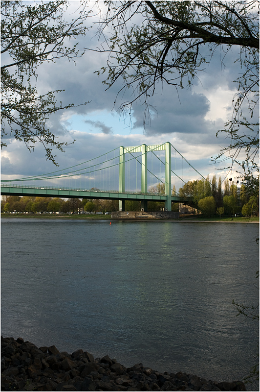 rheinbrücke