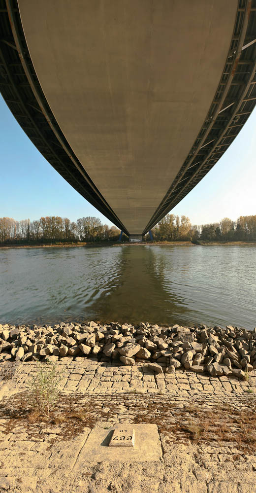 Rheinbrücke der A61 bei Speyer