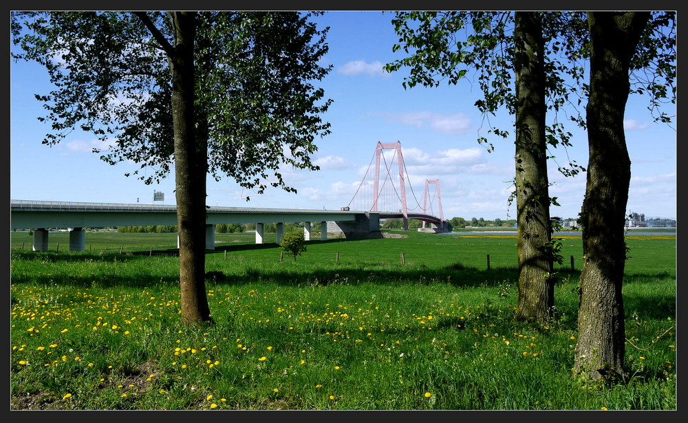 Rheinbrücke