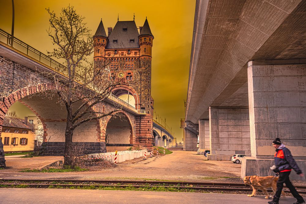 Rheinbrücke in Worms