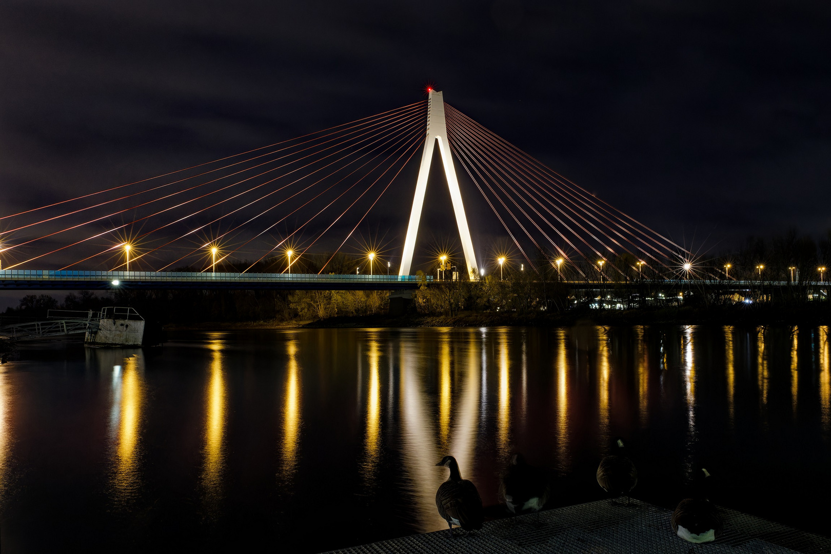 Rheinbrücke Neuwied